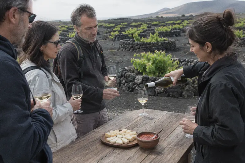 Una guía sirve vino a un grupo de turistas junto a viñas plantadas en hoyos de ceniza volcánica con muretes de piedra